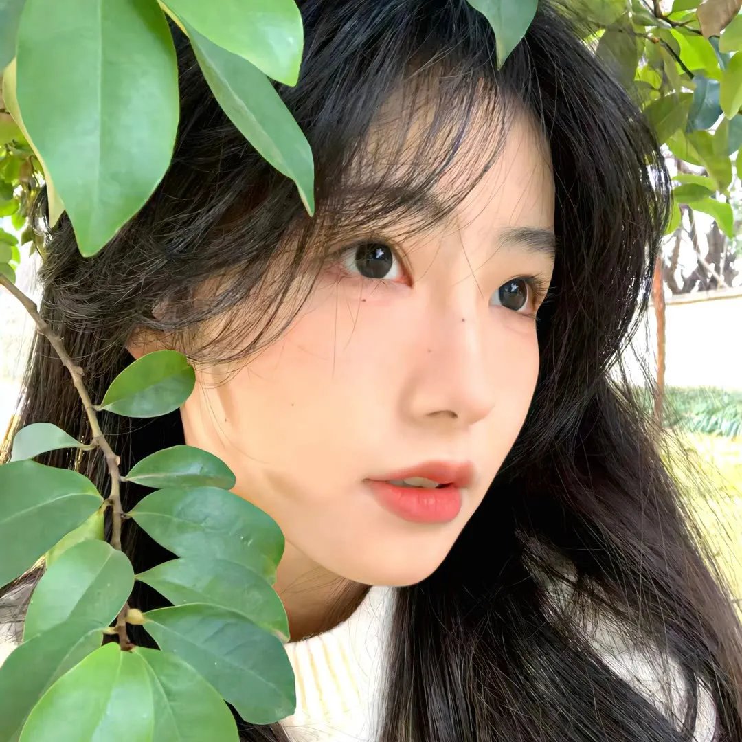 人间规则